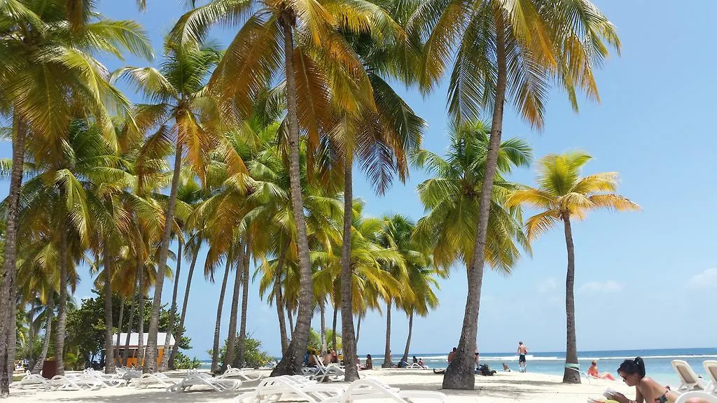 Locastudio - Pomme Kanel Sainte-Anne  Guadeloupe